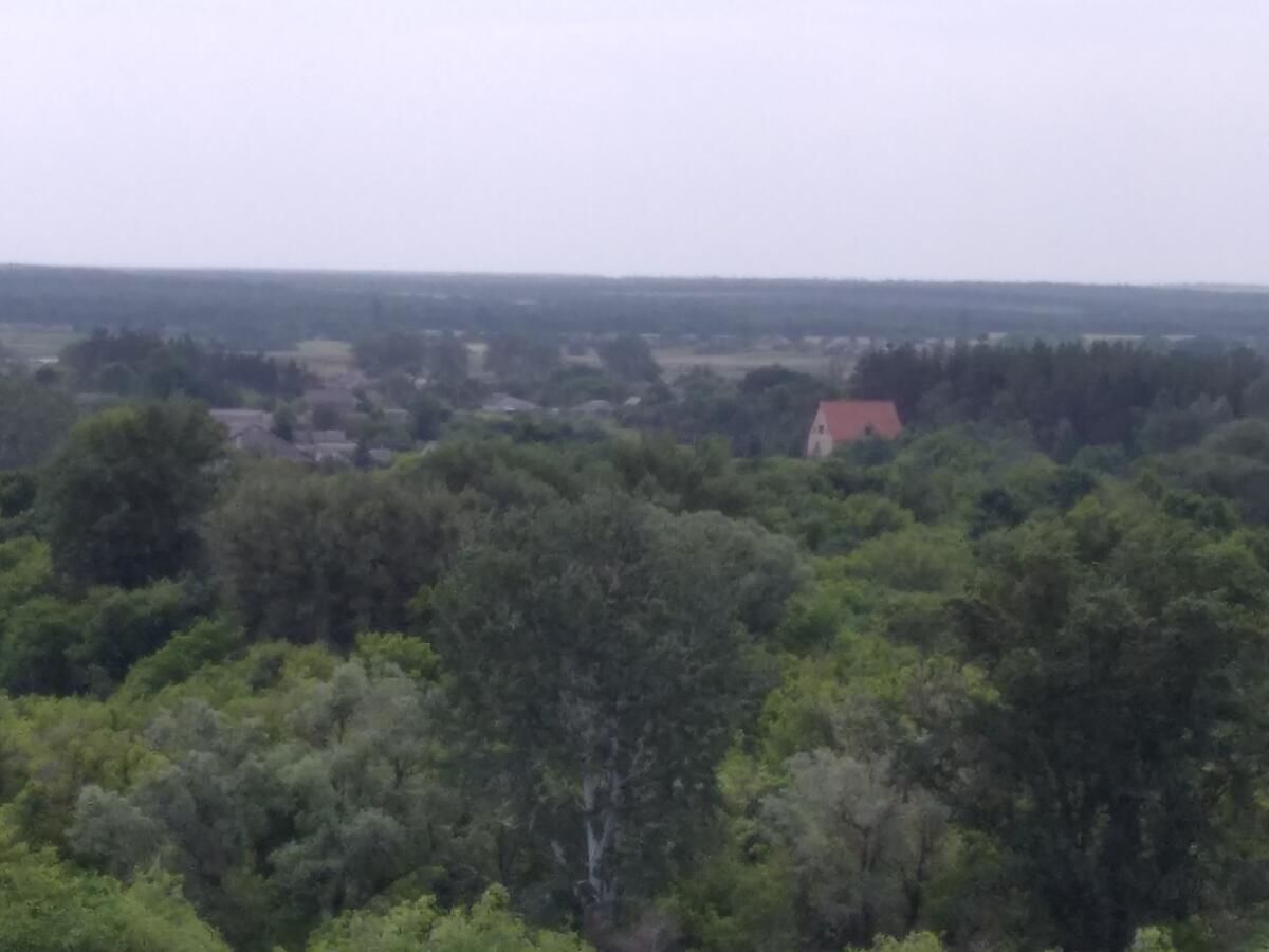 Загородные дома Усадьба в гостях у аиста Liman-14