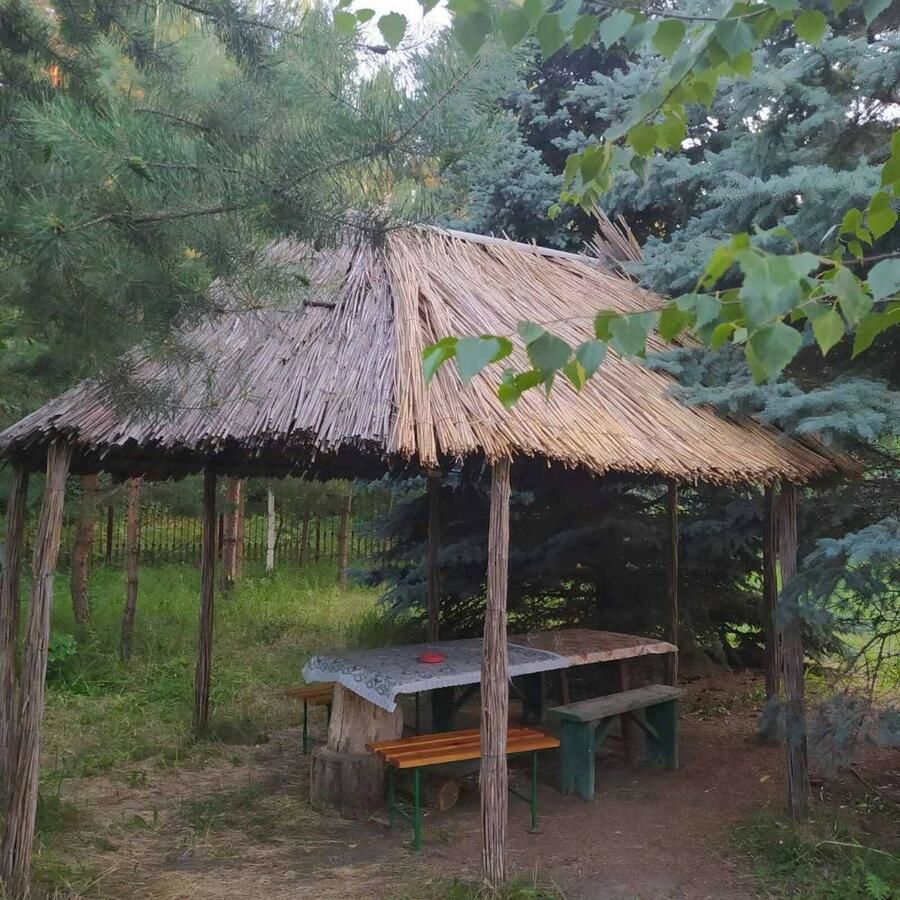Загородные дома Усадьба в гостях у аиста Liman-9