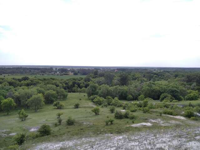 Загородные дома Усадьба в гостях у аиста Liman-14